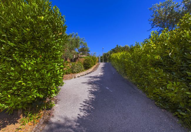 Villa a Sant´Agata sui Due Golfi - AMORE RENTALS - Villa dei Galli con Piscina Privata, Vista Mare, Giardino, Parcheggio e Aria Condizionata Villa a Sant´Agata sui Due Golfi - AMORE RENTALS - Villa dei Galli con Piscina Privata, Vista Mare, Giardino, Parcheggio e Aria Condizionata