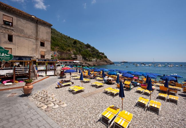 Villa a Nerano - AMORE RENTALS - Villa Ariadne con Vista Mare, Jacuzzi, Piscina e Colazione Villa a Nerano - AMORE RENTALS - Villa Ariadne con Vista Mare, Jacuzzi, Piscina e Colazione