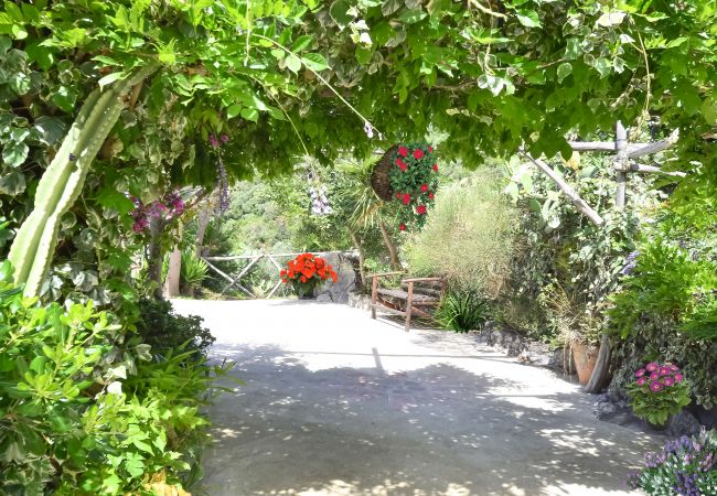 Villa a Termini - AMORE RENTALS - Villa Bacco con Piscina Privata, Vista Mare, Parcheggio, Romantica Villa a Termini - AMORE RENTALS - Villa Bacco con Piscina Privata, Vista Mare, Parcheggio, Romantica