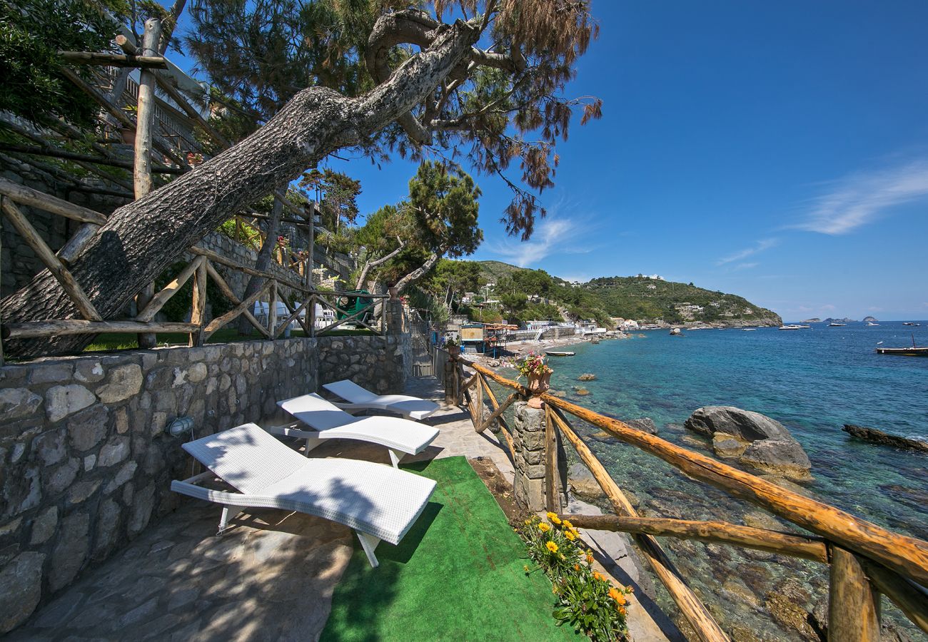 Villa a Nerano - AMORE RENTALS - Villa Ibiscus con Piscina a Sfioro, Discesa Diretta al Mare, Vista Mare, parcheggio e Colazione