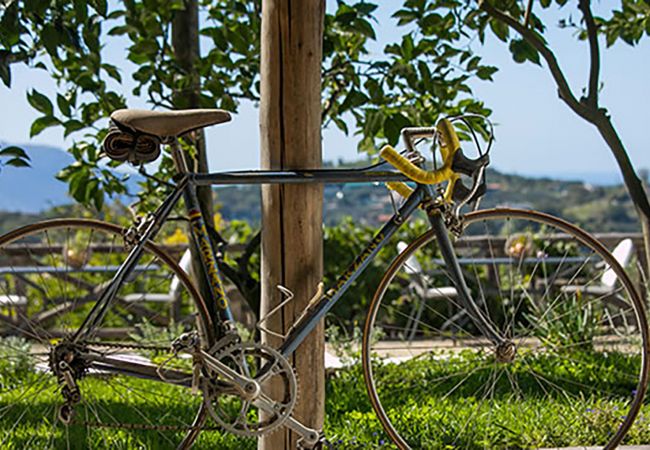 Villa a Sant´Agata sui Due Golfi - AMORE RENTALS - Villa Amiela con Piscina Privata, Vista Mare, Giardino,Terrazzi e Parcheggio Villa a Sant´Agata sui Due Golfi - AMORE RENTALS - Villa Amiela con Piscina Privata, Vista Mare, Giardino,Terrazzi e Parcheggio