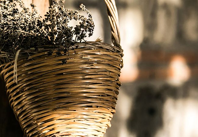 Villa a Sant´Agata sui Due Golfi - AMORE RENTALS - Villa Amiela con Piscina Privata, Vista Mare, Giardino,Terrazzi e Parcheggio Villa a Sant´Agata sui Due Golfi - AMORE RENTALS - Villa Amiela con Piscina Privata, Vista Mare, Giardino,Terrazzi e Parcheggio