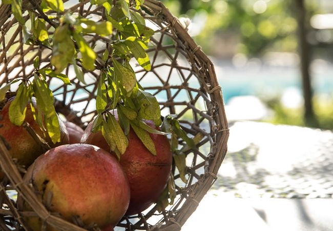 Villa a Sant´Agata sui Due Golfi - AMORE RENTALS - Villa Amiela con Piscina Privata, Vista Mare, Giardino,Terrazzi e Parcheggio Villa a Sant´Agata sui Due Golfi - AMORE RENTALS - Villa Amiela con Piscina Privata, Vista Mare, Giardino,Terrazzi e Parcheggio