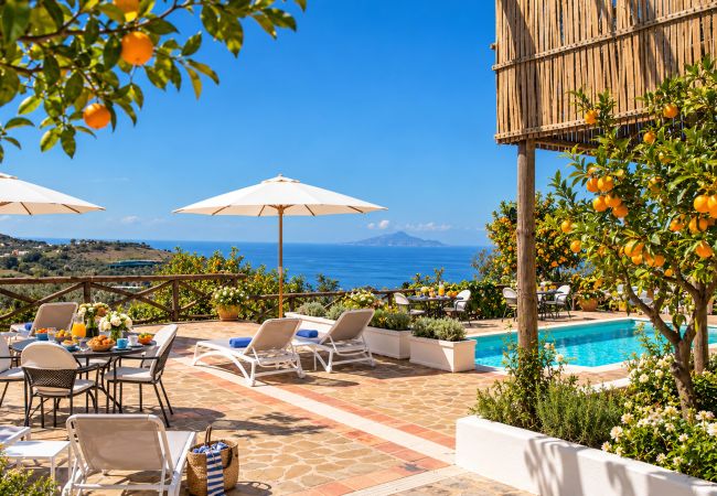 Villa a Sant´Agata sui Due Golfi - AMORE RENTALS - Villa Amiela con Piscina Privata, Vista Mare, Cucina Professionale, Forno per Pizza e Ampi Giardini