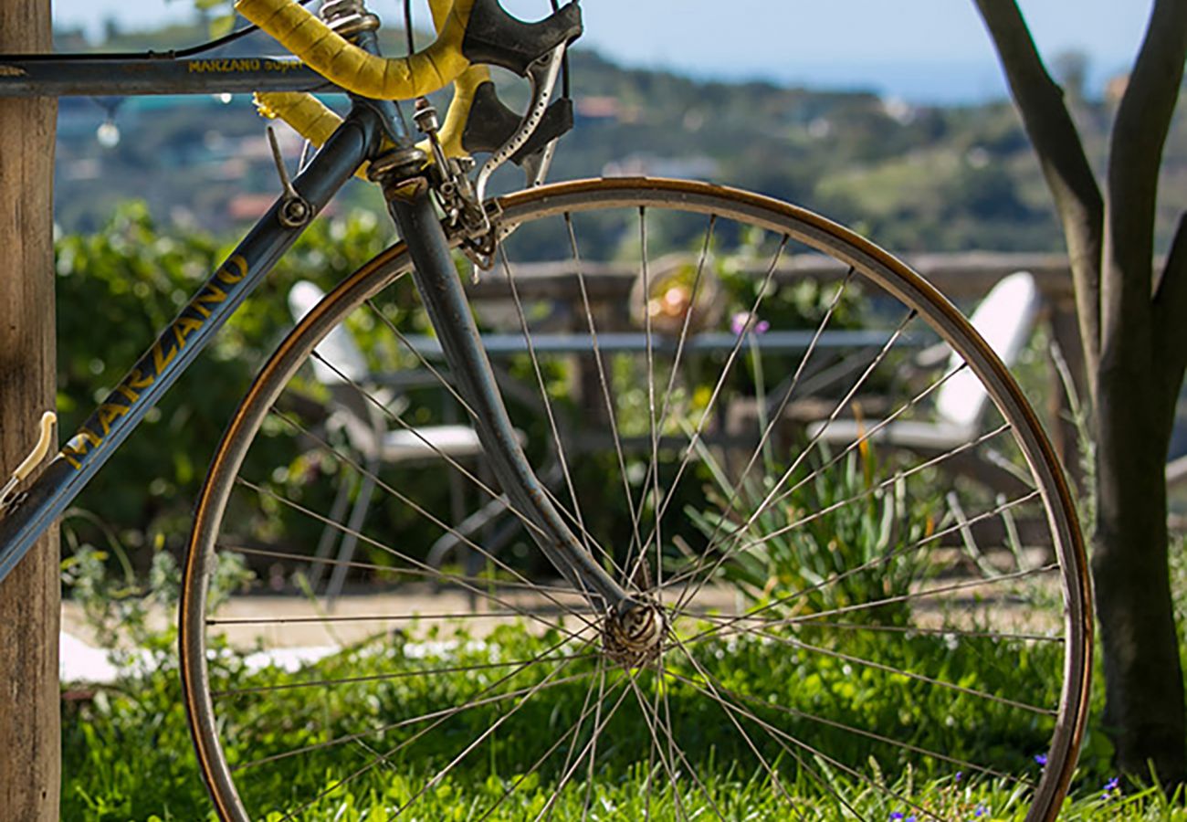 Villa a Sant´Agata sui Due Golfi - AMORE RENTALS - Villa Amiela con Piscina Privata, Vista Mare, Giardino,Terrazzi e Parcheggio