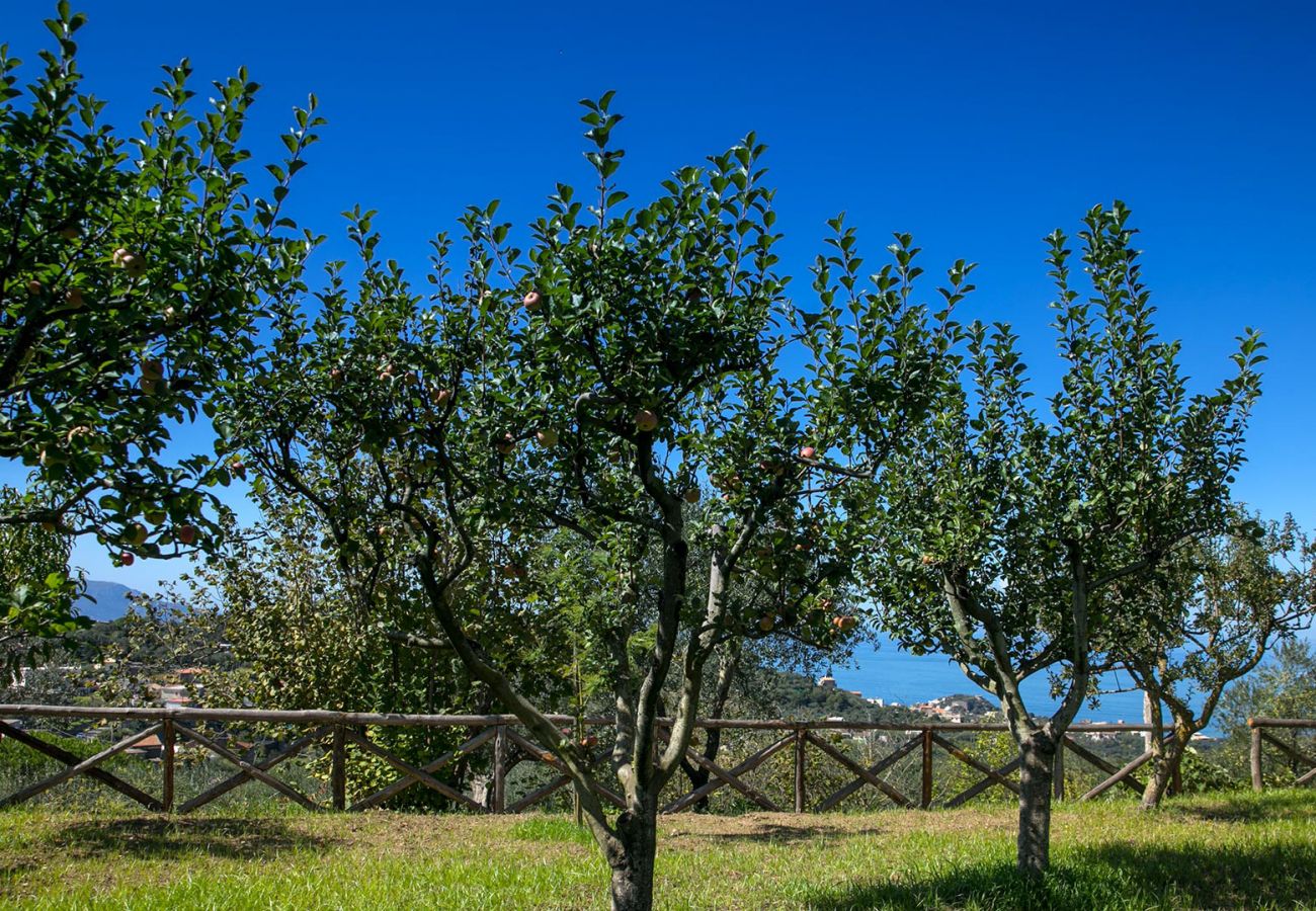 Villa a Sant´Agata sui Due Golfi - AMORE RENTALS - Villa Amiela con Piscina Privata, Vista Mare, Giardino,Terrazzi e Parcheggio