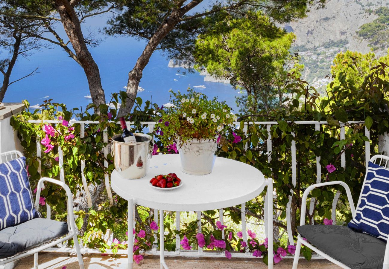 Villa a Capri - AMORE RENTALS - Villa Polifemo con Piscina Privata, Vista Mare, Terrazzi e Giardino
