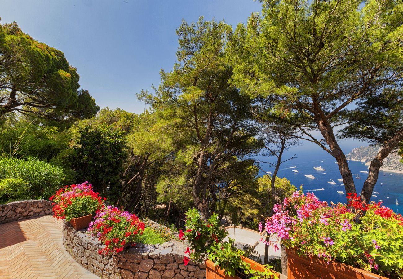 Villa a Capri - AMORE RENTALS - Villa Polifemo con Piscina Privata, Vista Mare, Terrazzi e Giardino