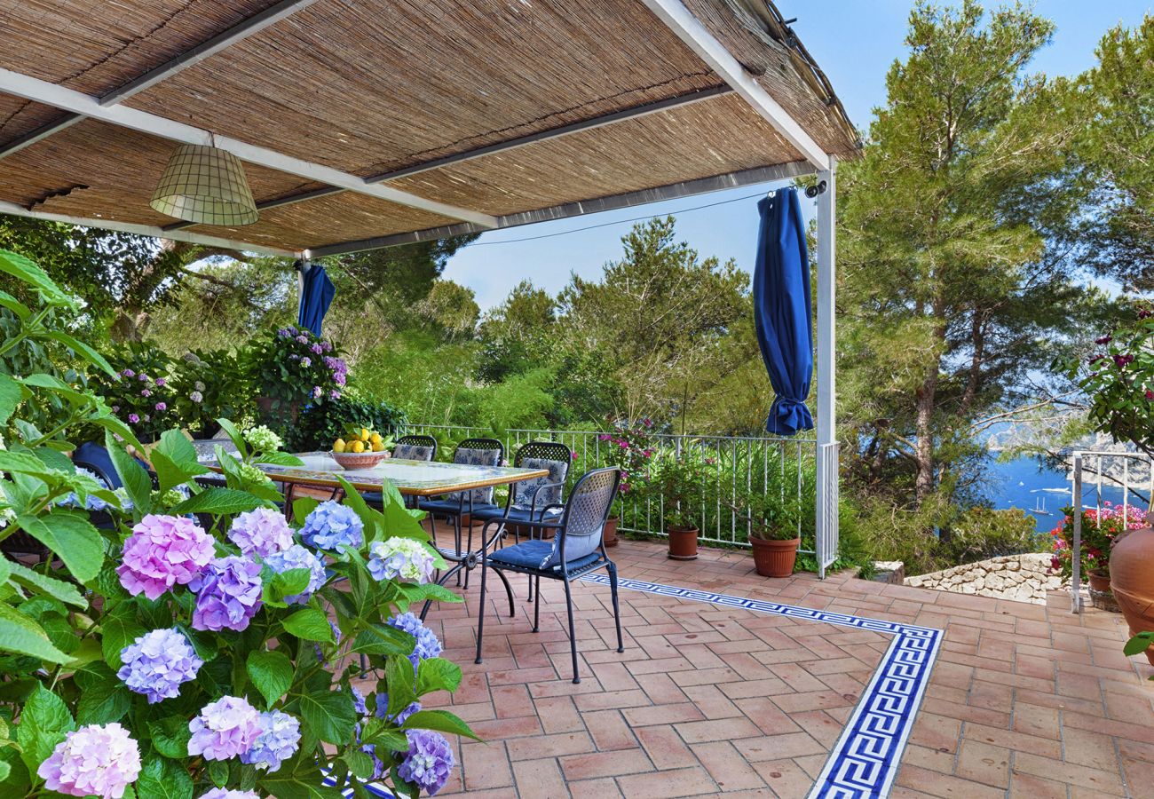 Villa a Capri - AMORE RENTALS - Villa Polifemo con Piscina Privata, Vista Mare, Terrazzi e Giardino