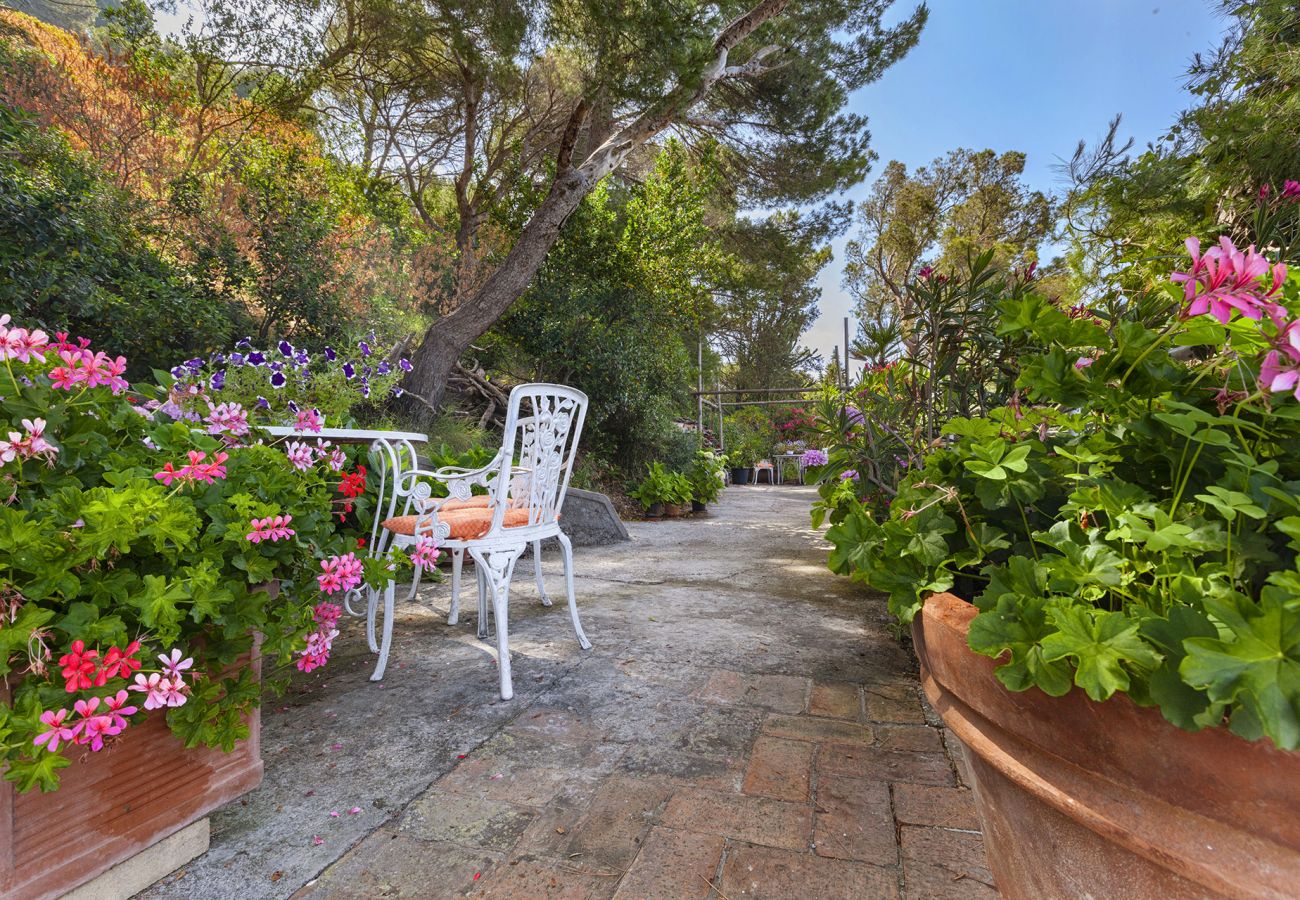 Villa a Capri - AMORE RENTALS - Villa Polifemo con Piscina Privata, Vista Mare, Terrazzi e Giardino