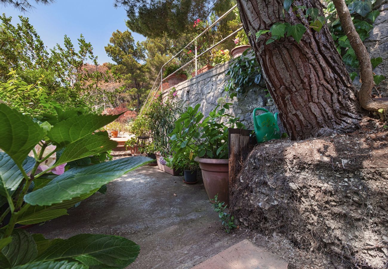 Villa a Capri - AMORE RENTALS - Villa Polifemo con Piscina Privata, Vista Mare, Terrazzi e Giardino