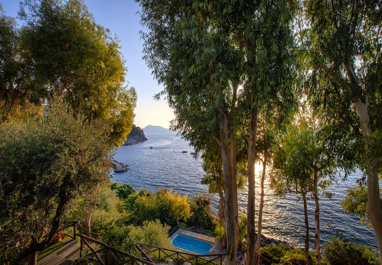 Villa a Massa Lubrense - AMORE RENTALS - Villa Ofelia con Piscina Privata, Giardino e Discesa Diretta al Mare