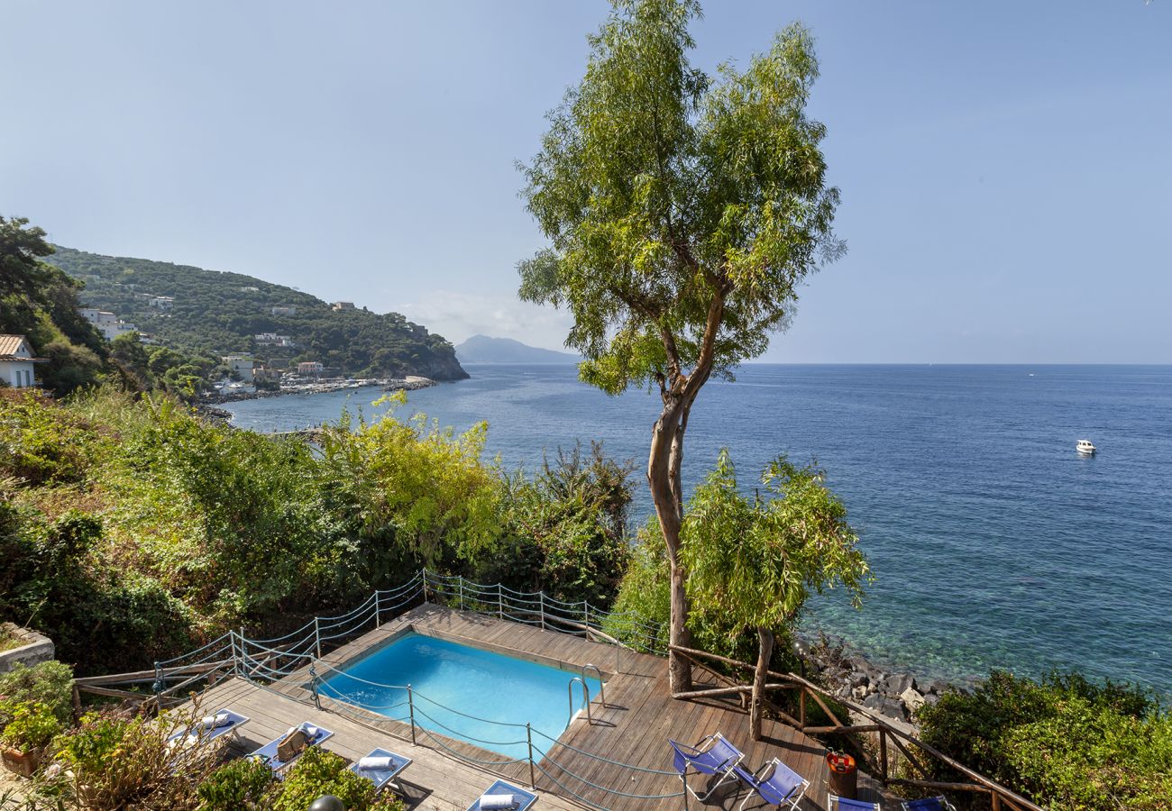 Villa a Massa Lubrense - AMORE RENTALS - Villa Ofelia con Piscina Privata, Giardino e Discesa Diretta al Mare