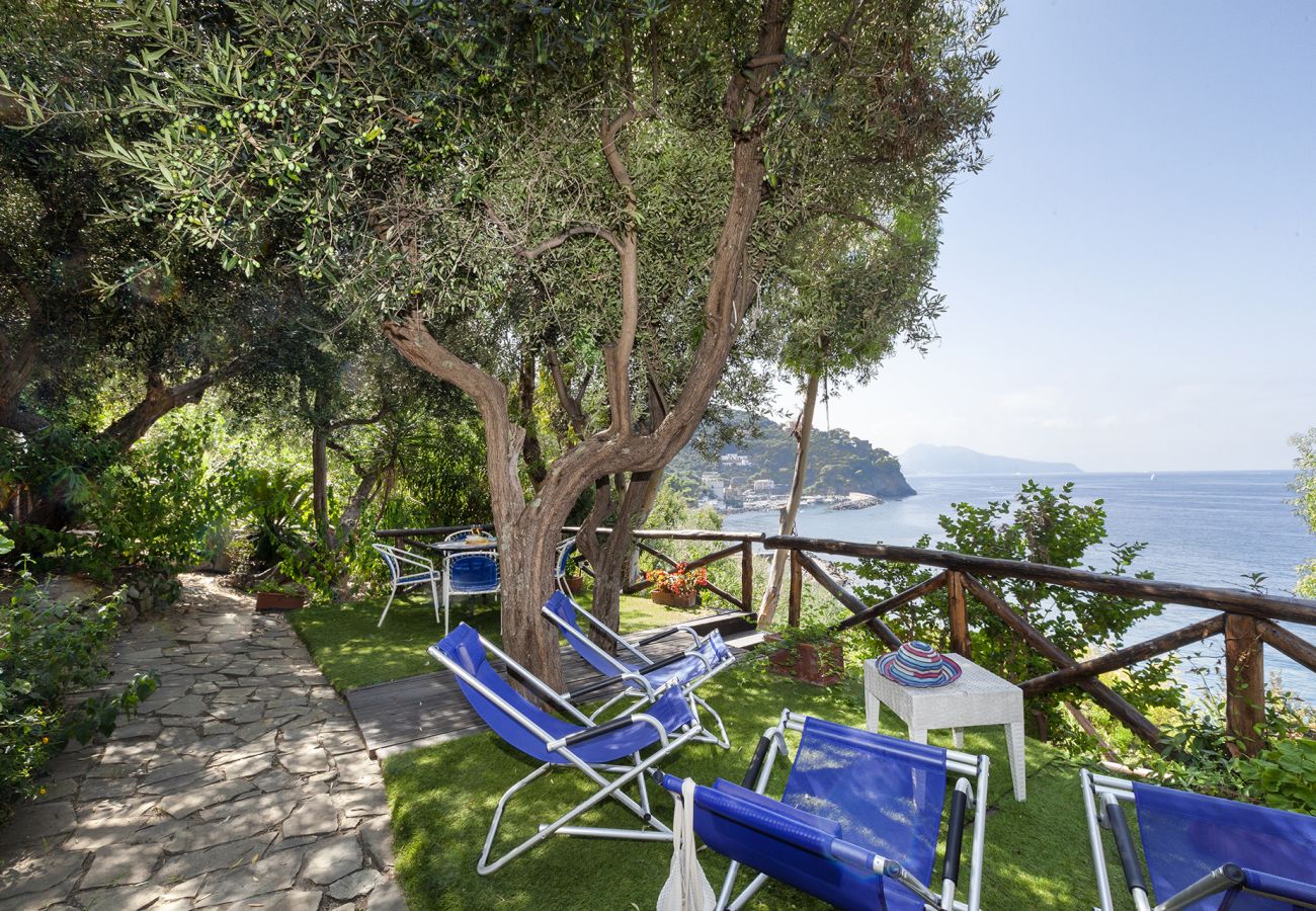 Villa a Massa Lubrense - AMORE RENTALS - Villa Ofelia con Piscina Privata, Giardino e Discesa Diretta al Mare