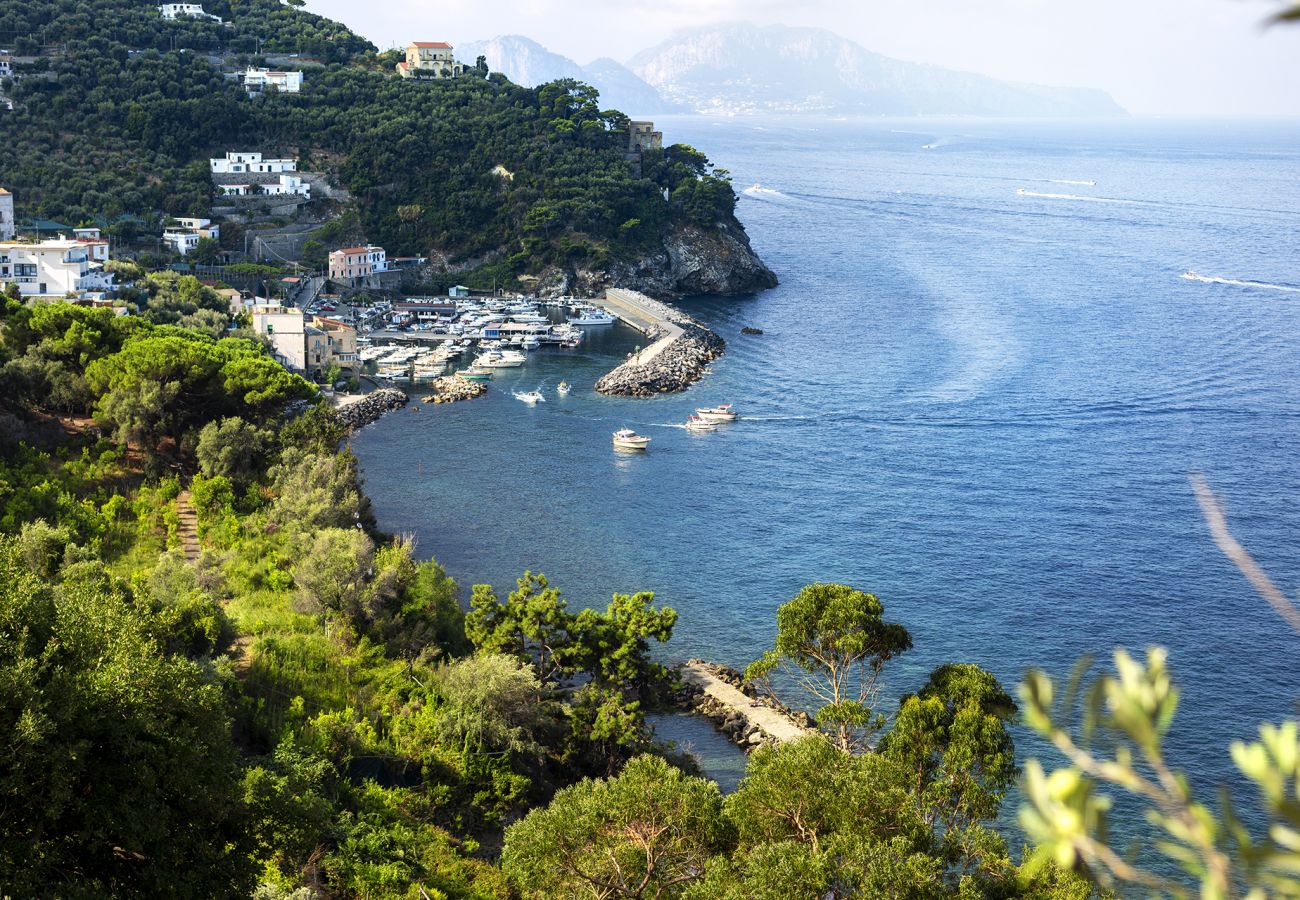 Villa a Massa Lubrense - AMORE RENTALS - Villa Ofelia con Piscina Privata, Giardino e Discesa Diretta al Mare