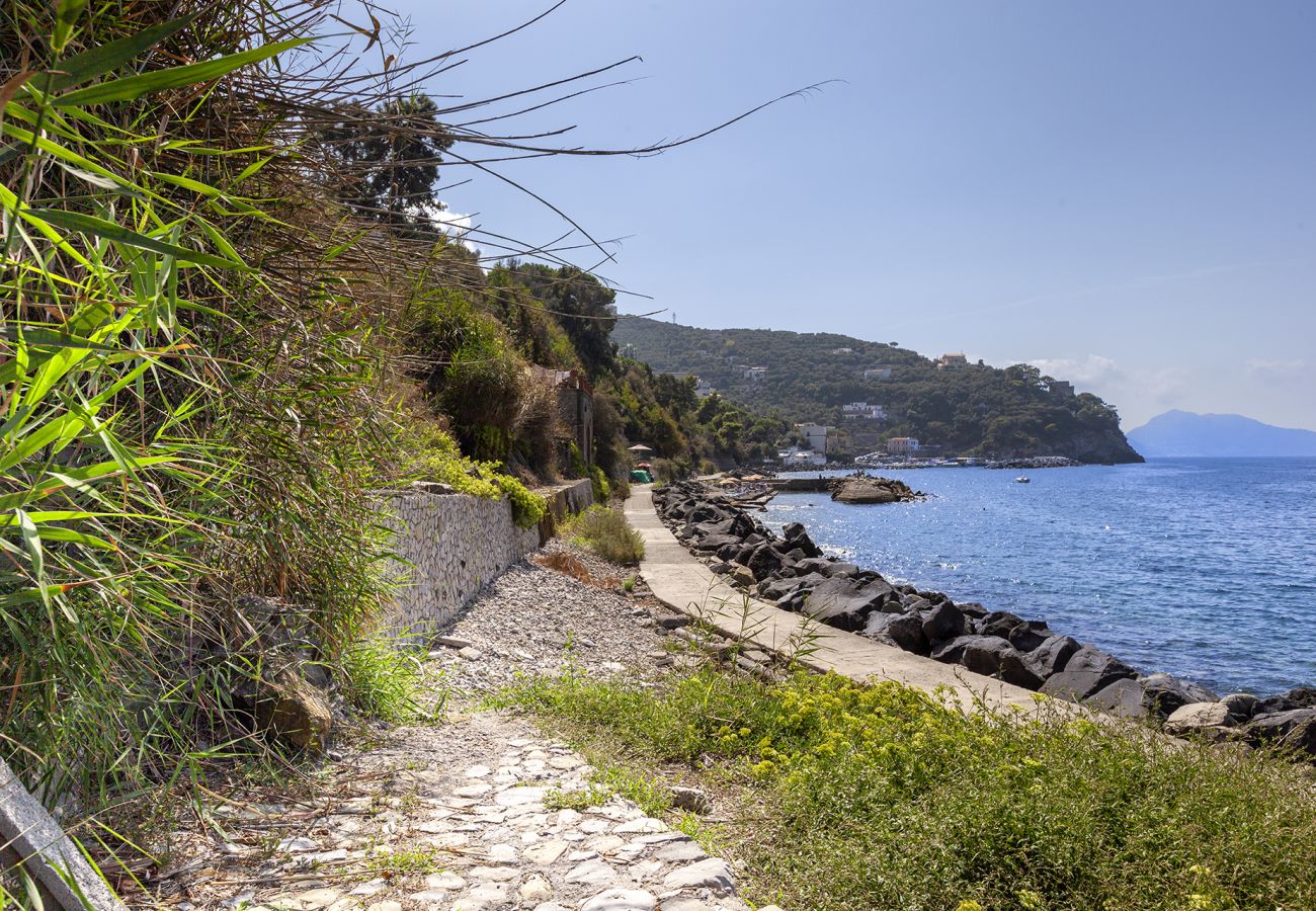 Villa a Massa Lubrense - AMORE RENTALS - Villa Ofelia con Piscina Privata, Giardino e Discesa Diretta al Mare