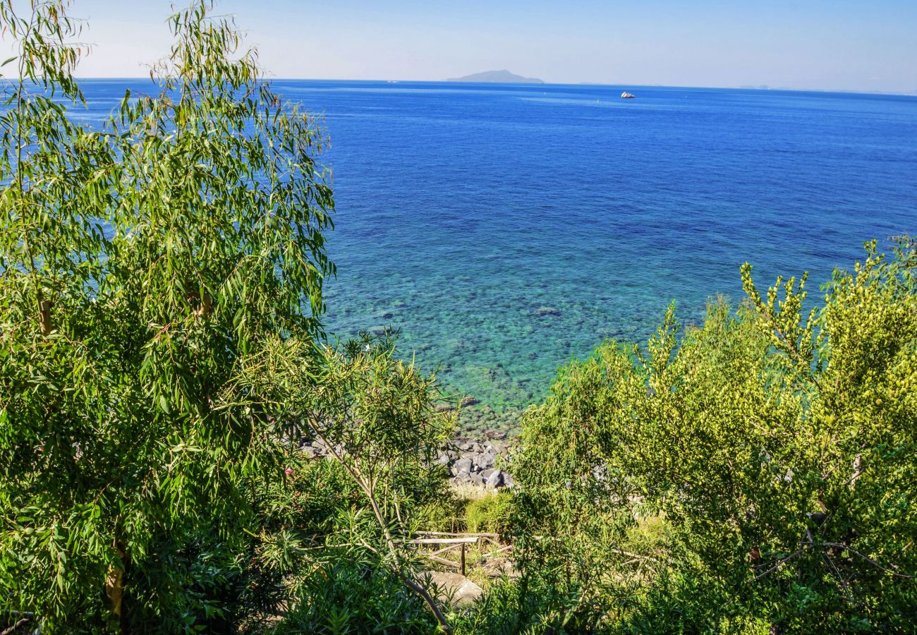 Villa a Massa Lubrense - AMORE RENTALS - Villa Terri con Piscina Privata, Vista Mare, Discesa Diretta al Mare e Parcheggio