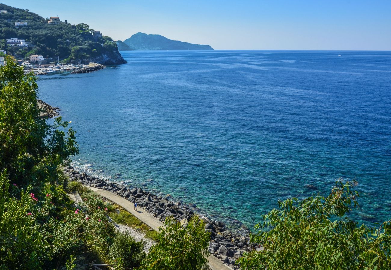 Villa a Massa Lubrense - AMORE RENTALS - Villa Terri con Piscina Privata, Vista Mare, Discesa Diretta al Mare e Parcheggio