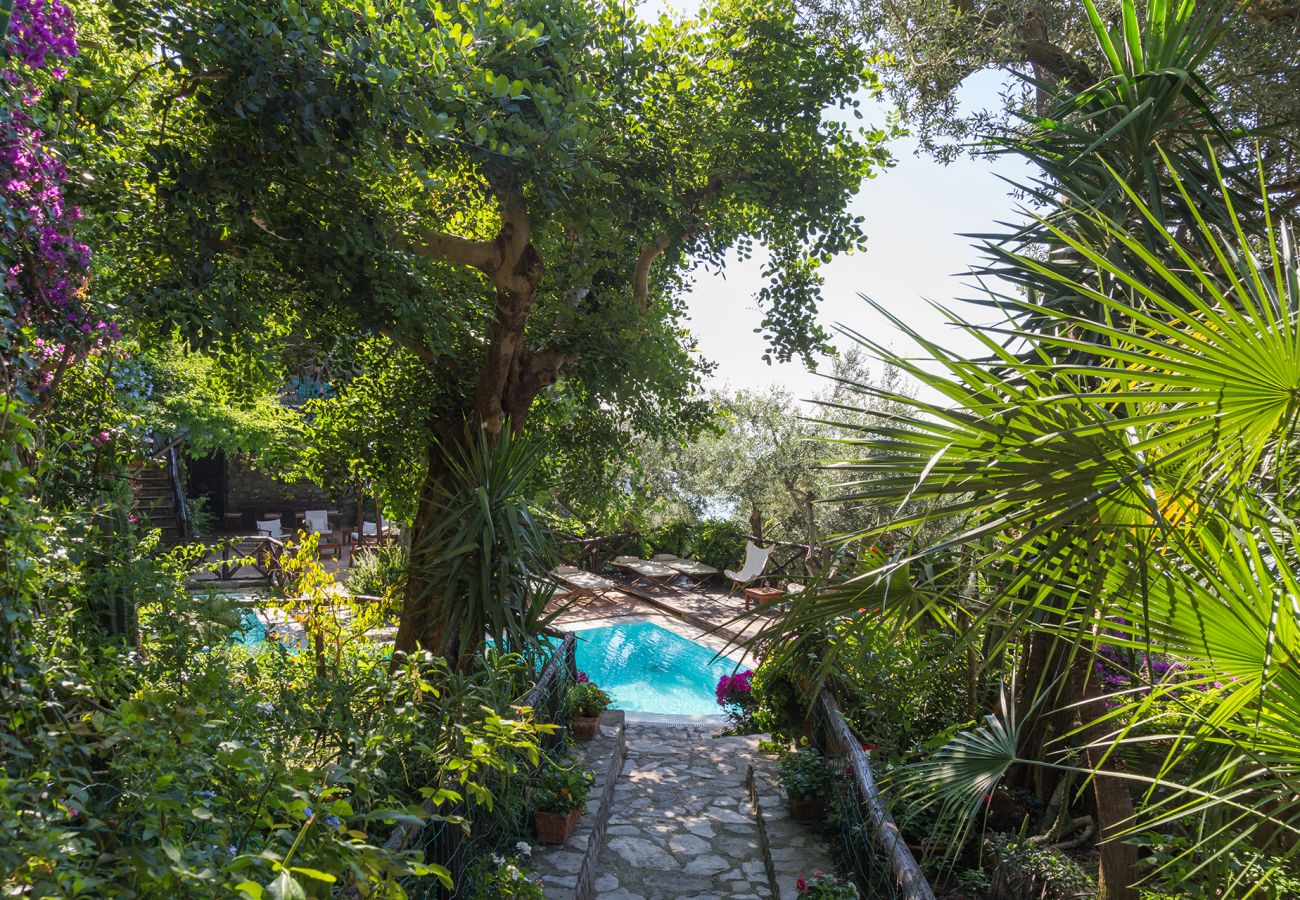 Villa a Positano - AMORE RENTALS -Villa Era con Piscina Privata, Vista Mare, Terrazzi e Parcheggio