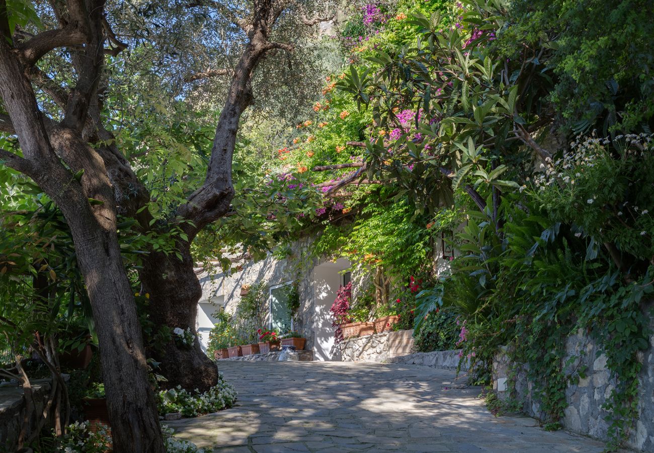 Villa a Positano - AMORE RENTALS -Villa Era con Piscina Privata, Vista Mare, Terrazzi e Parcheggio