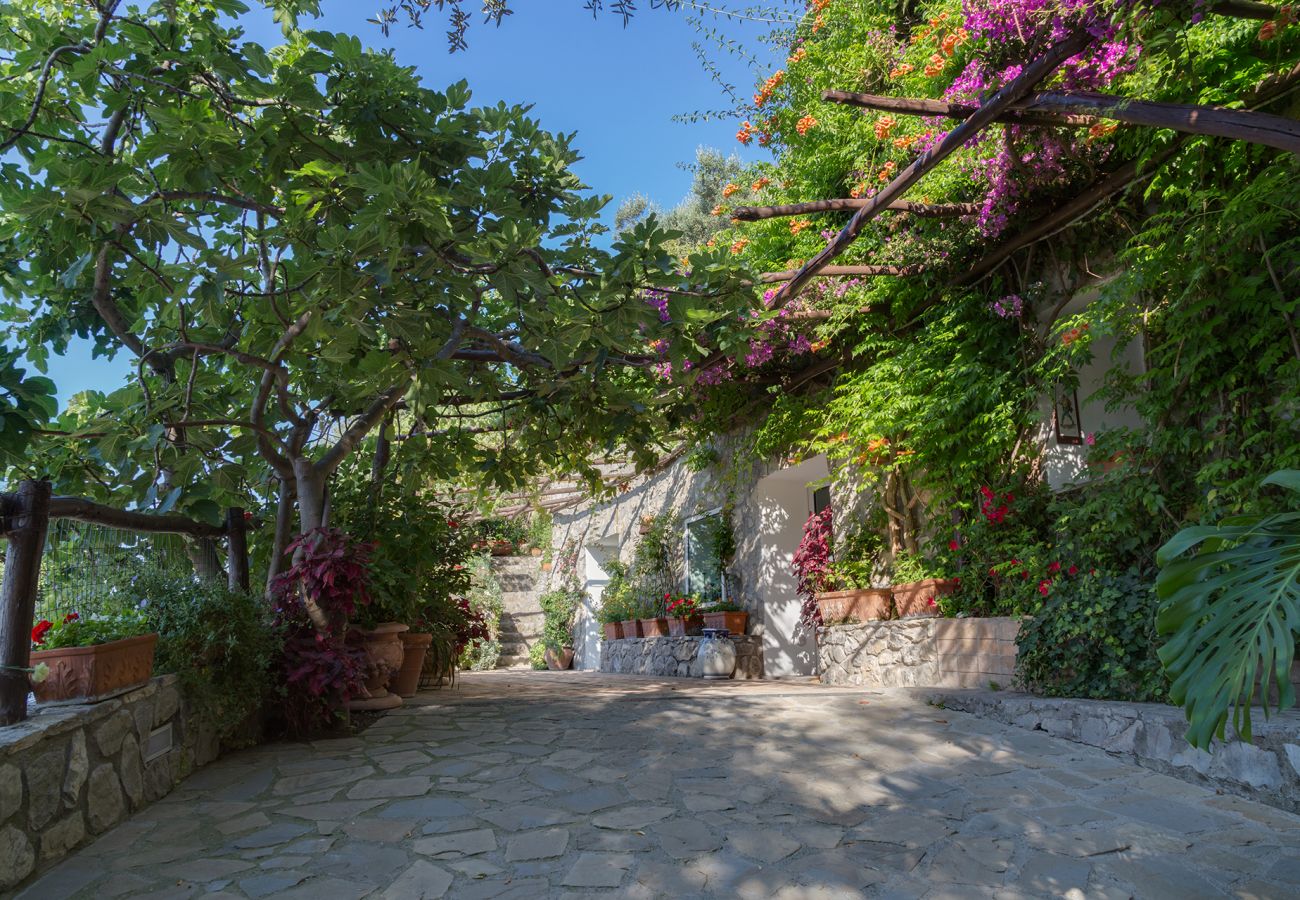 Villa a Positano - AMORE RENTALS -Villa Era con Piscina Privata, Vista Mare, Terrazzi e Parcheggio