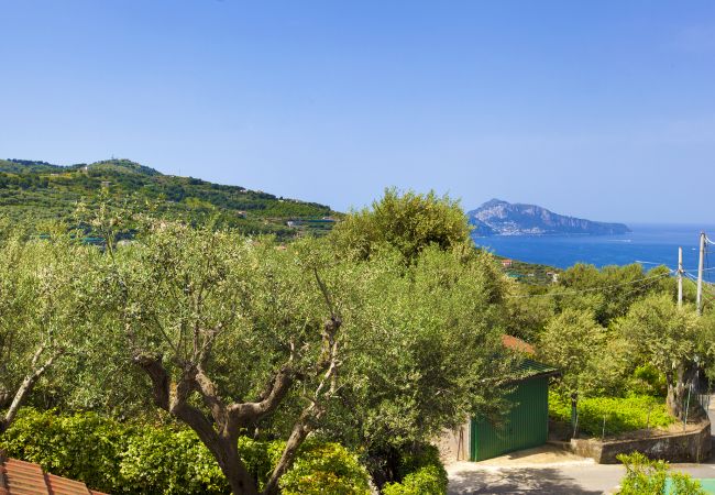 Villa a Massa Lubrense - AMORE RENTALS - Villa Giulia con Piscina Privata, Vista Mare, Terrazzi e Parcheggio Villa a Massa Lubrense - AMORE RENTALS - Villa Giulia con Piscina Privata, Vista Mare, Terrazzi e Parcheggio