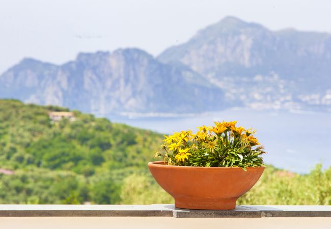 Villa a Massa Lubrense - AMORE RENTALS - Villa Giulia con Piscina Privata, Vista Mare, Terrazzi e Parcheggio Villa a Massa Lubrense - AMORE RENTALS - Villa Giulia con Piscina Privata, Vista Mare, Terrazzi e Parcheggio