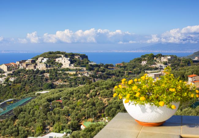 Villa a Massa Lubrense - AMORE RENTALS - Villa Elia con Piscina Privata, Vista Mare, Parcheggio, Terrazzi e Giardino Villa a Massa Lubrense - AMORE RENTALS - Villa Elia con Piscina Privata, Vista Mare, Parcheggio, Terrazzi e Giardino