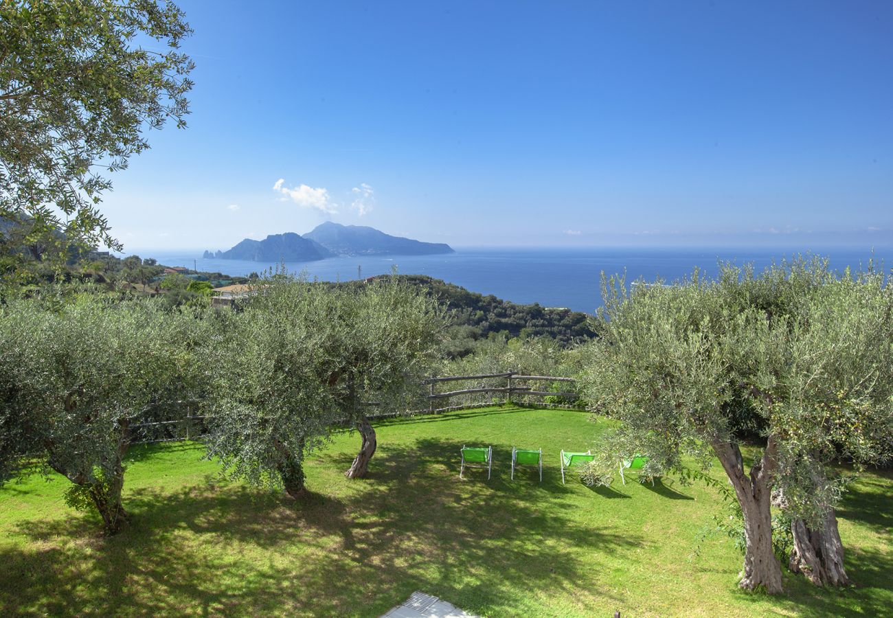 Villa a Massa Lubrense - AMORE RENTALS - Villa Elia con Piscina Privata, Vista Mare, Parcheggio, Terrazzi e Giardino