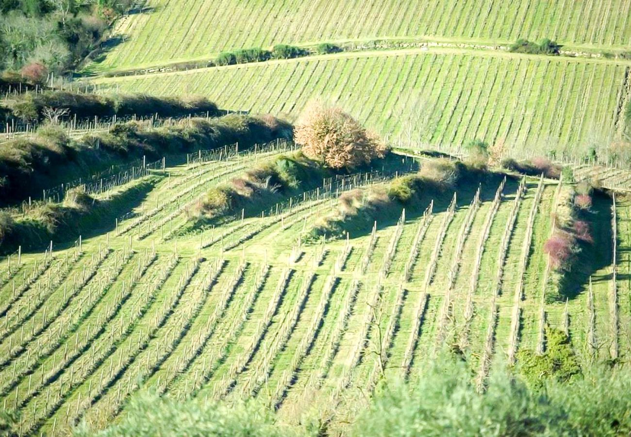 Villa a Panzano - AMORE RENTALS - Villa Mia con Piscina Privata, Giardino, Terrazzi e Parcheggio