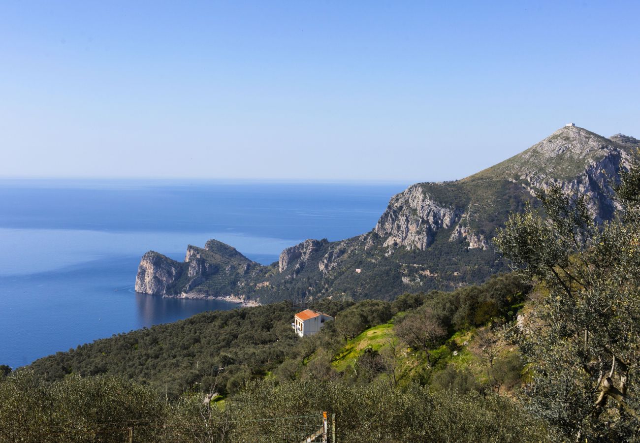 Villa a Sant´Agata sui Due Golfi - AMORE RENTALS - Villa Ligea con Piscina Privata, Vista Mare e Parcheggio