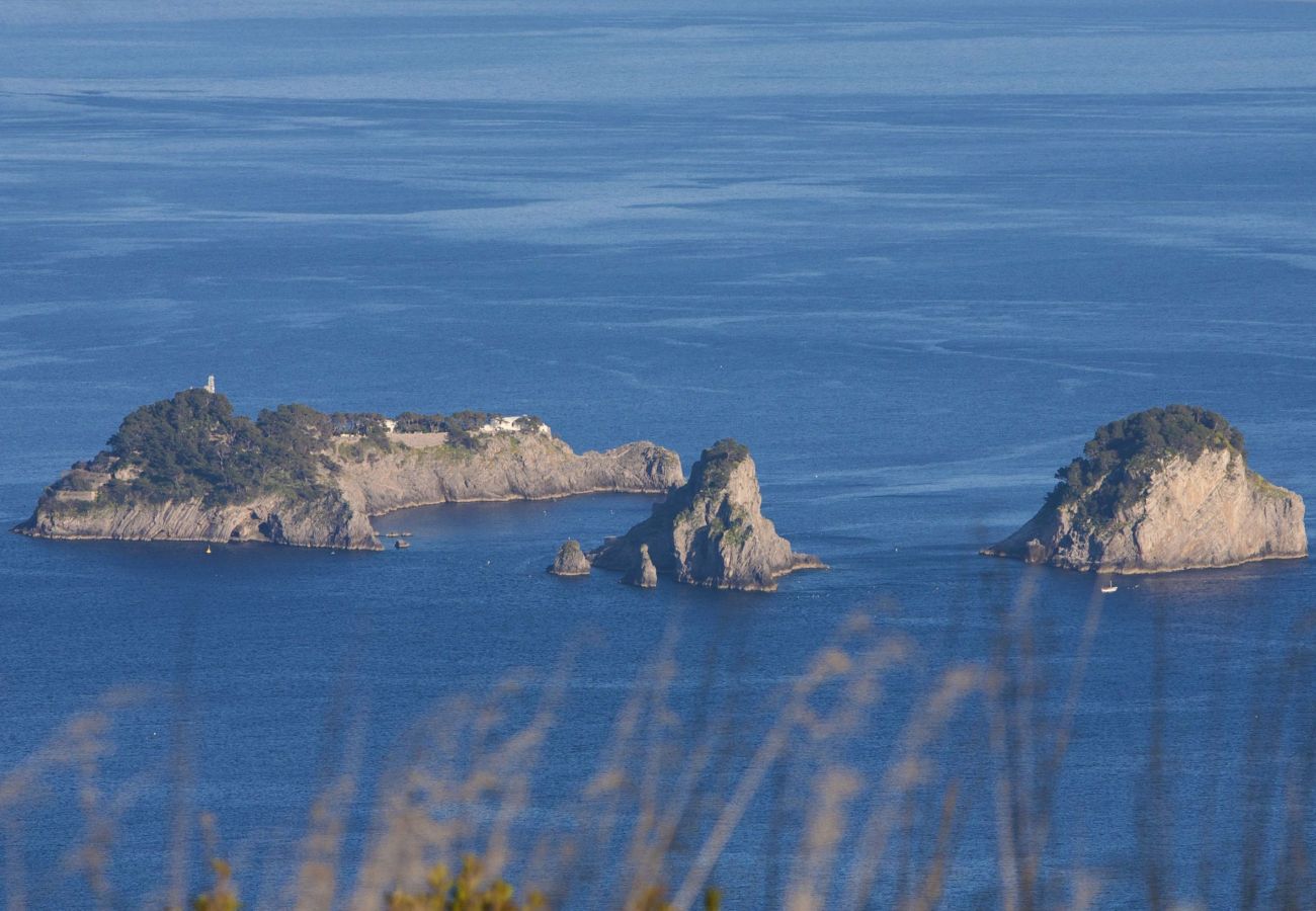 Villa a Sant´Agata sui Due Golfi - AMORE RENTALS - Villa Ligea con Piscina Privata, Vista Mare e Parcheggio