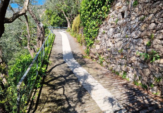 Villa a Positano - AMORE RENTALS - Villa Lo Scoglio con Accesso Diretto al Mare e Giardino  Villa a Positano - AMORE RENTALS - Villa Lo Scoglio con Accesso Diretto al Mare e Giardino
