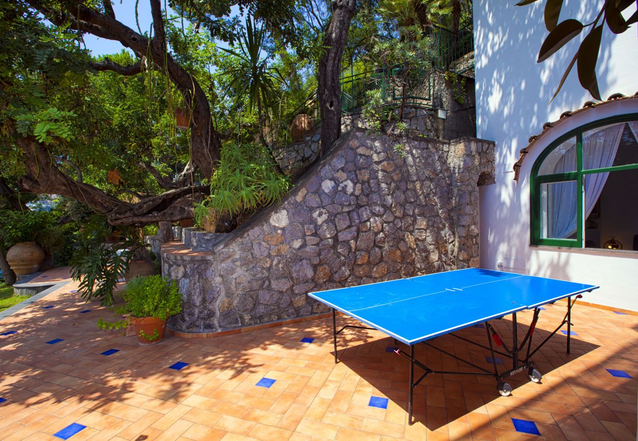 Villa a Positano - AMORE RENTALS - Villa Lo Scoglio con Accesso Diretto al Mare e Giardino 