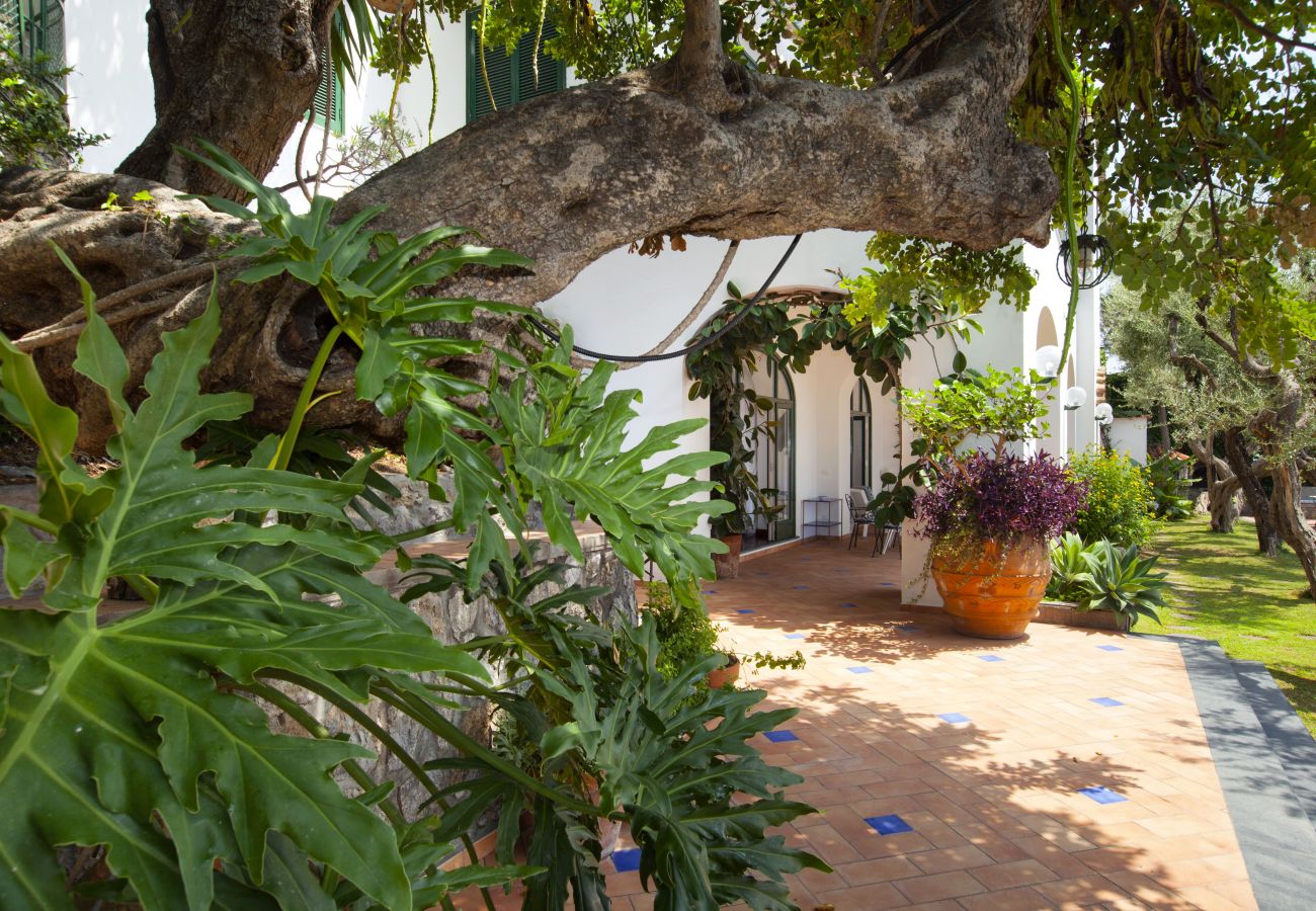 Villa a Positano - AMORE RENTALS - Villa Lo Scoglio con Accesso Diretto al Mare e Giardino 