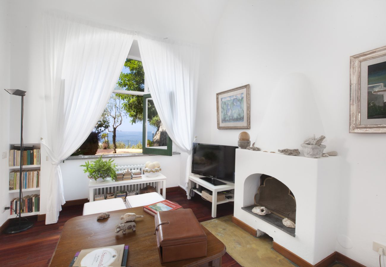 Villa a Positano - AMORE RENTALS - Villa Lo Scoglio con Accesso Diretto al Mare e Giardino 