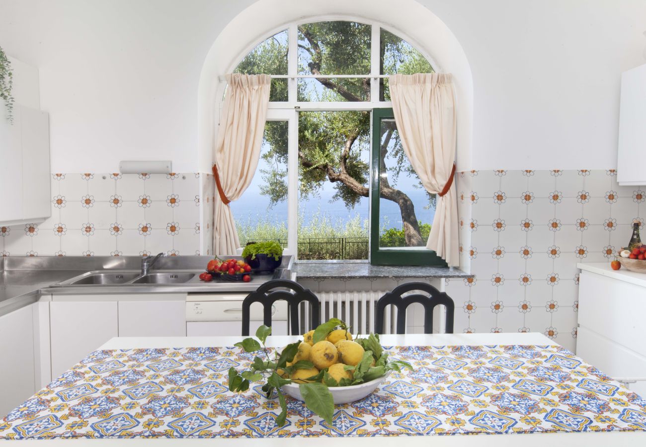 Villa a Positano - AMORE RENTALS - Villa Lo Scoglio con Accesso Diretto al Mare e Giardino 