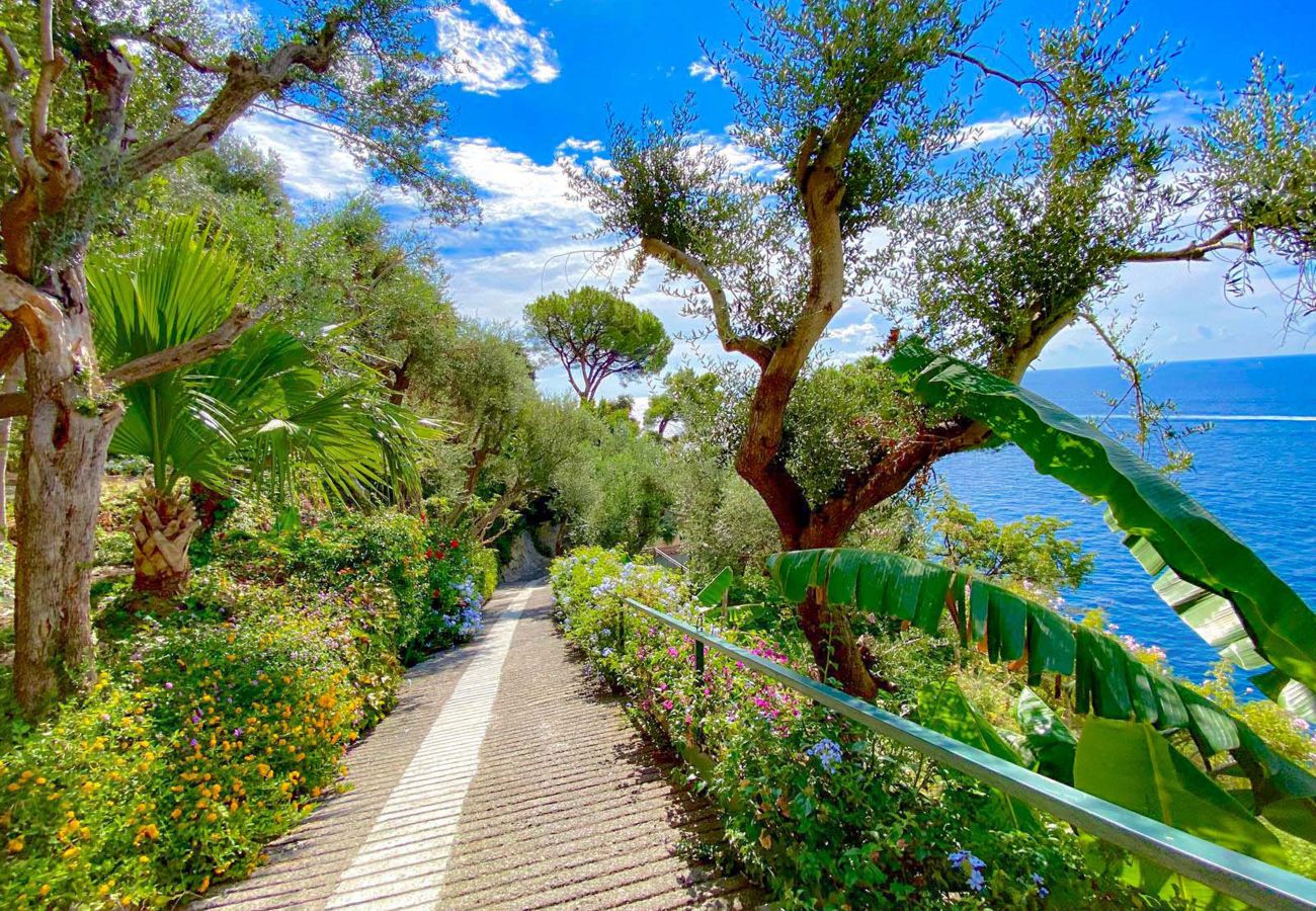 Villa a Positano - AMORE RENTALS - Villa Lo Scoglio con Accesso Diretto al Mare e Giardino 