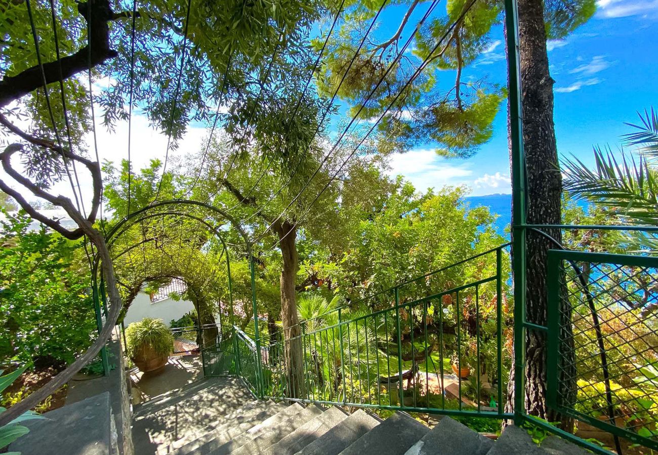 Villa a Positano - AMORE RENTALS - Villa Lo Scoglio con Accesso Diretto al Mare e Giardino 