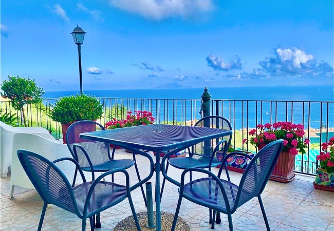 Villa a Massa Lubrense - AMORE RENTALS - Villa Stone on the Sea con Piscina Privata e Giardino Villa a Massa Lubrense - AMORE RENTALS - Villa Stone on the Sea con Piscina Privata e Giardino