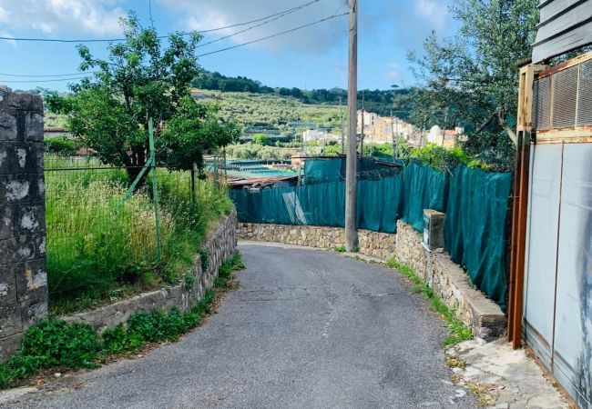 Villa a Massa Lubrense - AMORE RENTALS - Villa Stone on the Sea con Piscina Privata e Giardino Villa a Massa Lubrense - AMORE RENTALS - Villa Stone on the Sea con Piscina Privata e Giardino