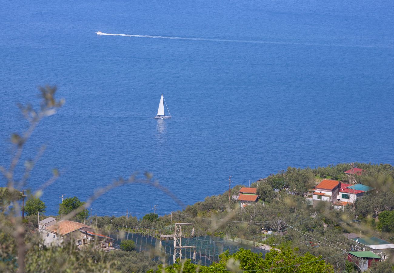 Villa a Termini - AMORE RENTALS - Villa Venus con Piscina Privata, Vista Mare e Parcheggio