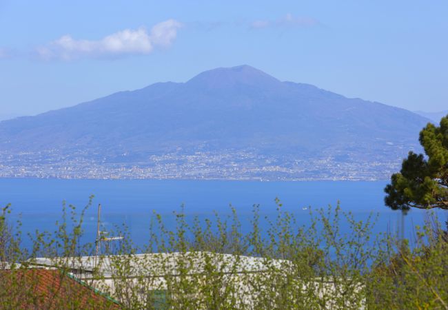 Villa a Massa Lubrense - AMORE RENTALS - Resort Ravenna - The Villa con Piscina Privata, Vasca Idromassaggio, Ideale per Eventi Villa a Massa Lubrense - AMORE RENTALS - Resort Ravenna - The Villa con Piscina Privata, Vasca Idromassaggio, Ideale per Eventi