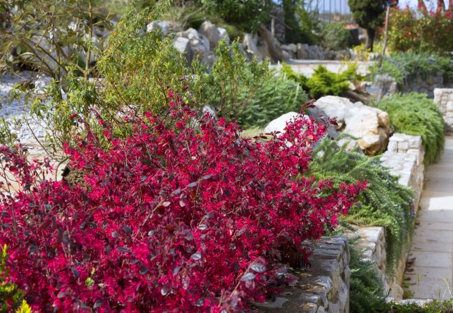 Villa a Massa Lubrense - AMORE RENTALS - Resort Ravenna - The Villa con Piscina Privata, Vasca Idromassaggio, Ideale per Eventi Villa a Massa Lubrense - AMORE RENTALS - Resort Ravenna - The Villa con Piscina Privata, Vasca Idromassaggio, Ideale per Eventi