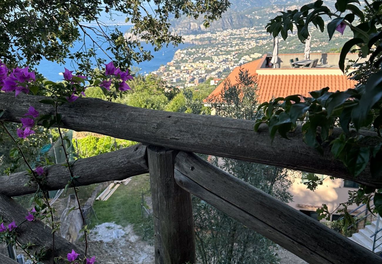 Villa a Sorrento - AMORE RENTALS - Villa Savoia con Vista Mare e Giardino