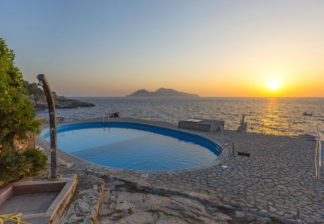 Villa a Massa Lubrense - AMORE RENTALS - Villa Domus Franca con Piscina Condivisa sul Mare Villa a Massa Lubrense - AMORE RENTALS - Villa Domus Franca con Piscina Condivisa sul Mare