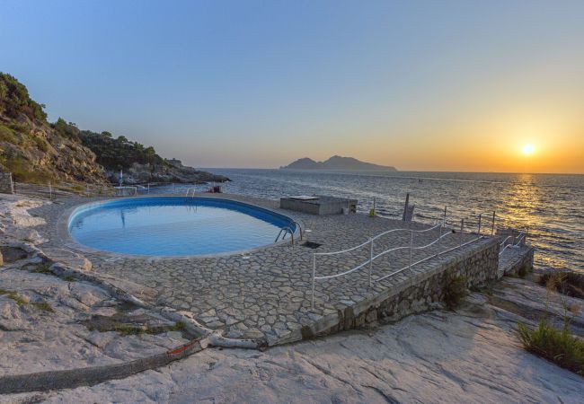 Villa a Massa Lubrense - AMORE RENTALS - Villa Domus Franca con Piscina Condivisa sul Mare