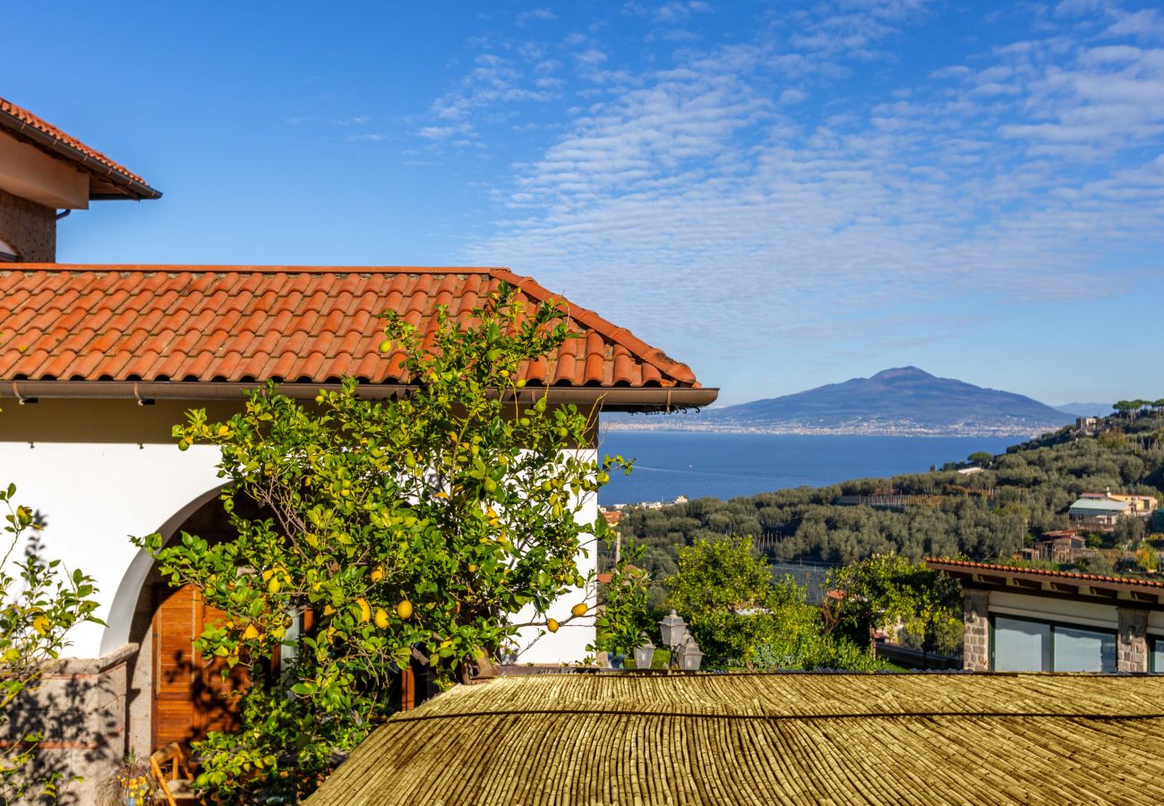 Villa a Sorrento - AMORE RENTALS - Villa Florinda con Piscina Privata e Vista Mare
