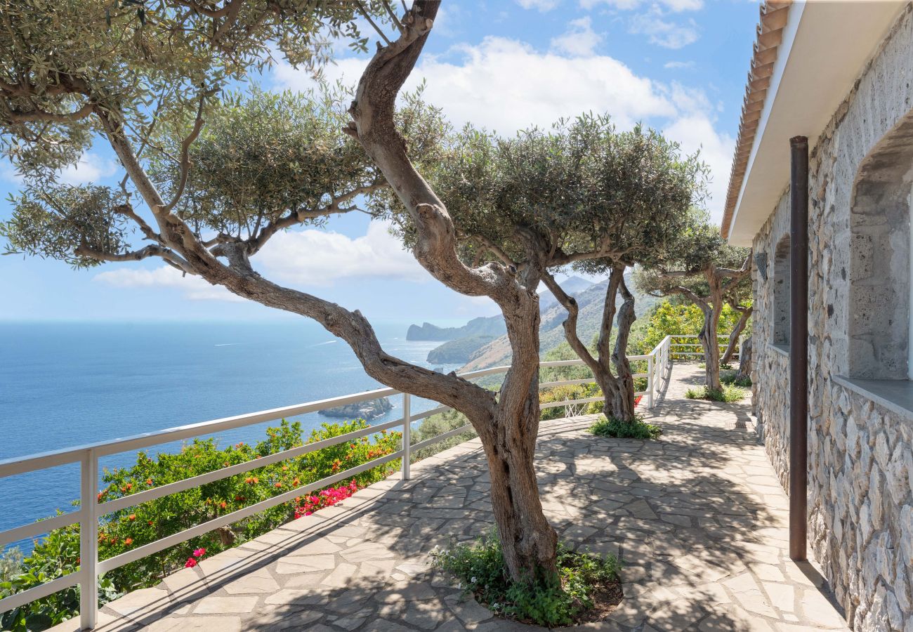 Villa a Massa Lubrense - AMORE RENTALS - Villa Lantana. Oasi di Silenzio e Natura con Jacuzzi Panoramica