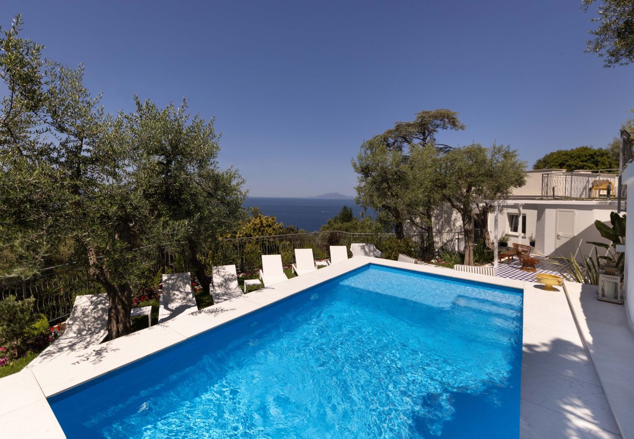 Villa a Massa Lubrense - AMORE RENTALS - Villa Gisolfi con Piscina Privata e Vista Mare